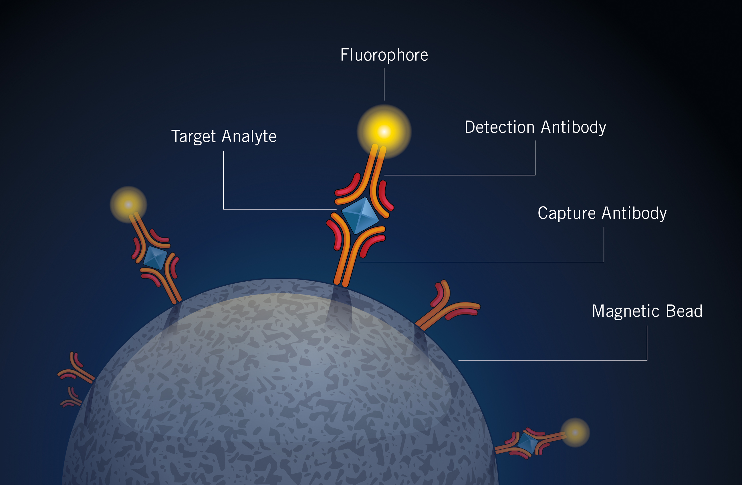 The Toxin Trouble With C Difficile Clinical Lab Products