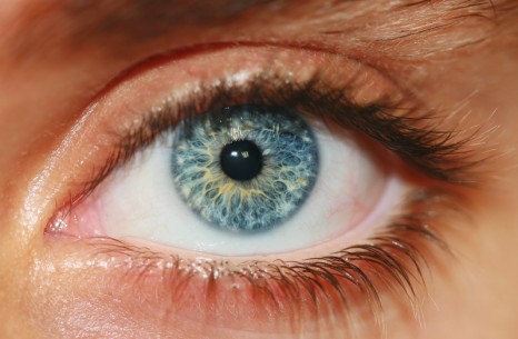 human eye OSAS glaucoma