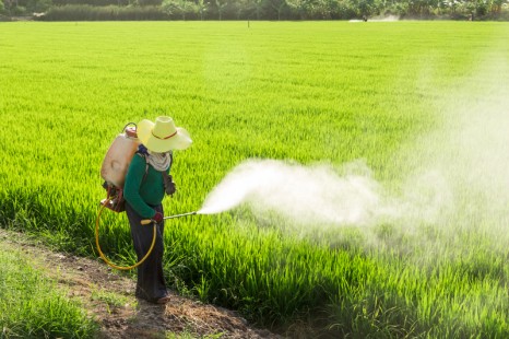insecticides and pesticides project