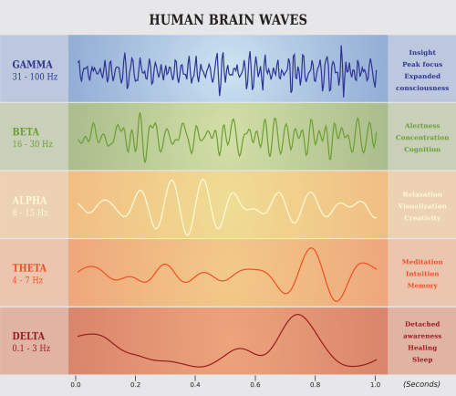 Brain Waves Must Synchronize to Understand Speech