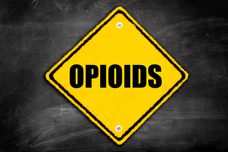 Opioid Use May Impair Healing After Bone Fractures - Physical Therapy ...