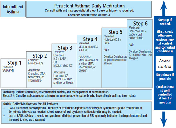 Stepwise Approach to Asthma Management - RT: For Decision Makers in ...